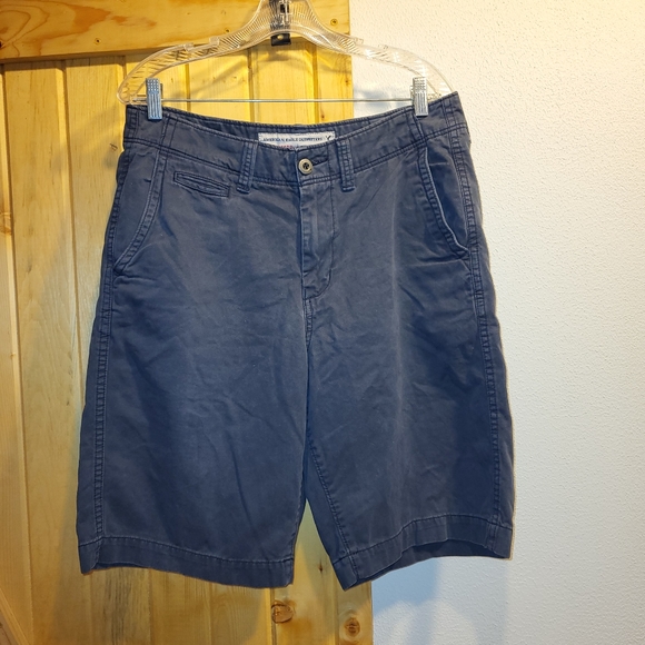 American Eagle Outfitters Other - American Eagle Outfitters Long board shorts